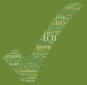 Tag cloud ecology related in shape of check sign